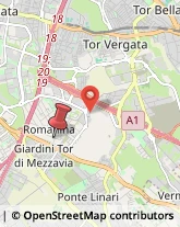 Via del Ponte delle Sette Miglia, 50,00173Roma