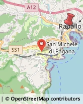 Via della Libertà, 13,16035Rapallo