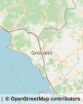 Rosticcerie e Salumerie,58043Grosseto