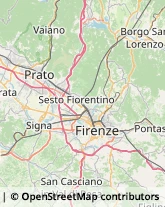 Agenzie Ippiche e Scommesse,50055Firenze