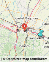 Maglieria - Dettaglio,40064Bologna