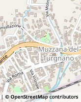 Via Molino, 1,33055Muzzana del Turgnano