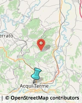 Agenzie Ippiche e Scommesse,15011Alessandria