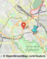 Palestre e Centri Fitness,00179Roma