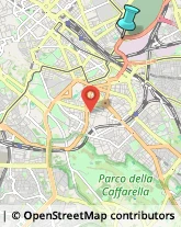 Palestre e Centri Fitness,00185Roma