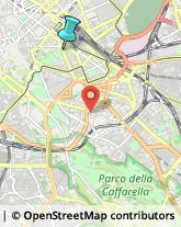 Palestre e Centri Fitness,00185Roma