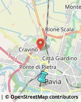 Palestre e Centri Fitness,27100Pavia