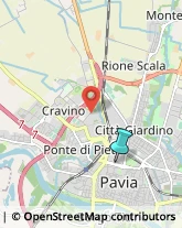 Palestre e Centri Fitness,27100Pavia