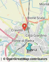 Palestre e Centri Fitness,27100Pavia