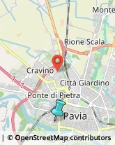 Palestre e Centri Fitness,27100Pavia