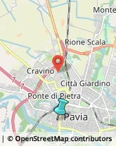 Feste - Organizzazione e Servizi,27100Pavia