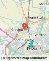 Palestre e Centri Fitness,27100Pavia