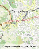 Viale Principe di Piemonte, 33,86100Campobasso