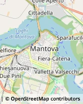 Via Verona, 26,46100Mantova