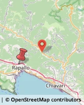 Via Laggiaro, 66/68,16035Rapallo