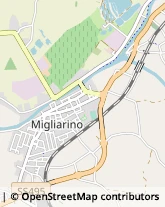 Largo Nevio Zerbini, 6/b,44027Migliarino