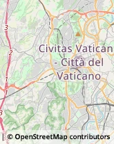 Via degli Scipioni, 63,00192Roma