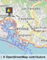 Bingo,16126Genova