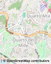 Viale Pio VII, 41/43/R,16148Genova