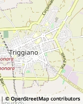 Via Virgilio, 43,70019Triggiano