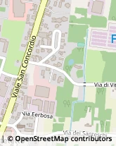 Viale San Concordio, 1825,55100Lucca