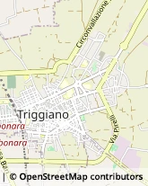 Vico Luciano Addante, 2,70019Triggiano