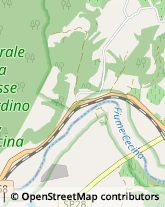 Aziende Agricole,56046Pisa