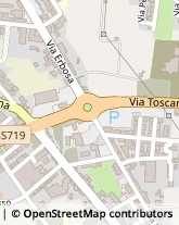 Via dei Frosini, 7,51100Pistoia