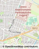 Via Cagliari, 15,56123Pisa