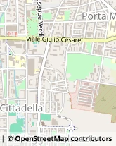 Via Tonale, 25,28100Novara