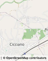 Via Pietro Nenni, 35,80033Cicciano