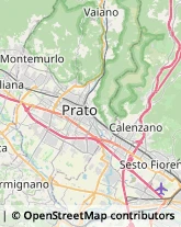 Trasporti Eccezionali,50041Firenze