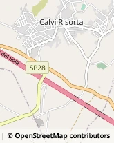 Via Casilina, 183,81042Calvi Risorta