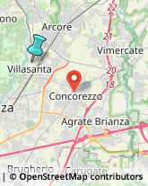 Trasporti Internazionali,20852Monza e Brianza