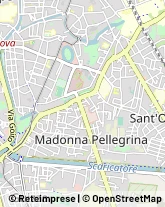 Viale Felice Cavallotti, 32,35124Padova