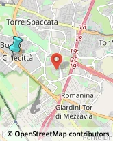 Agenti e Rappresentanti di Commercio,00174Roma