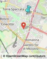 Autofficine e Centri Assistenza,00169Roma