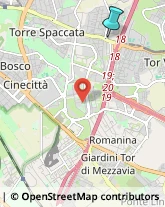 Autofficine e Centri Assistenza,00169Roma