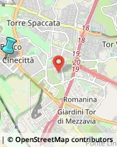 Autofficine e Centri Assistenza,00174Roma