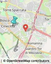 Associazioni Sindacali,00173Roma