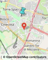 Autofficine e Centri Assistenza,00169Roma