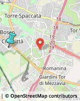 Autofficine e Centri Assistenza,00174Roma