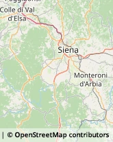 Demolizioni e Scavi,53019Siena