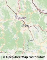 Demolizioni e Scavi,53041Siena