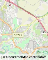 Via Antonio Provolo, 26,00156Roma