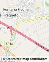 Via Settevene Palo, 10,00052Cerveteri