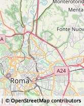 Via Gaetano Donizetti, 24,00198Roma