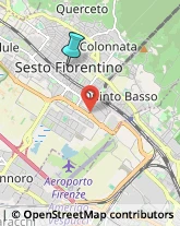 Pesce - Lavorazione e Commercio,50019Firenze