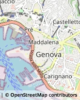 Via Tommaso Reggio, 10/A,16123Genova