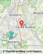 Gelaterie,20831Monza e Brianza